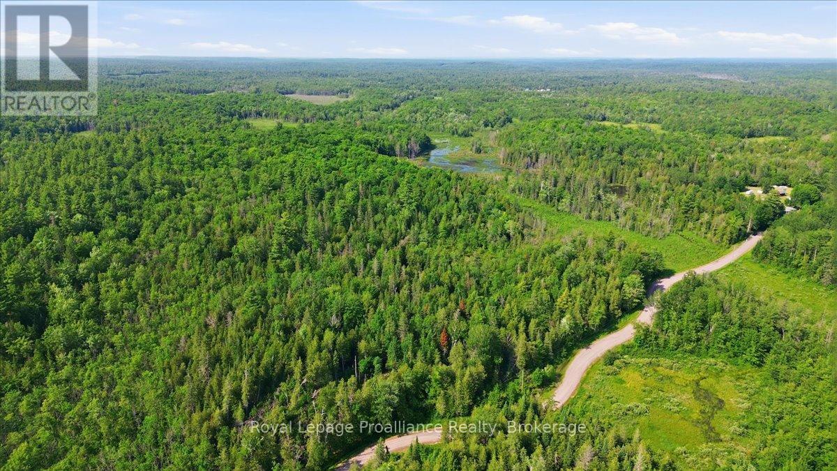 0 O'donnell Road, Addington Highlands, Ontario  K0H 2G0 - Photo 17 - X13520416