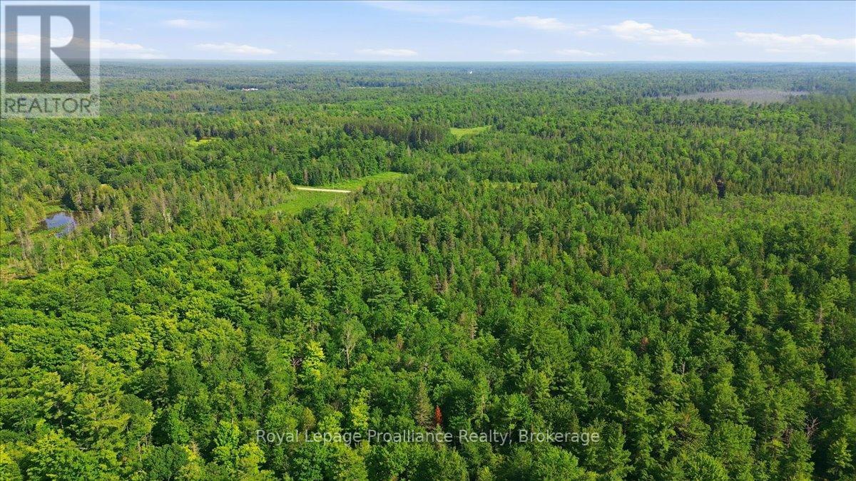 0 O'donnell Road, Addington Highlands, Ontario  K0H 2G0 - Photo 19 - X13520416