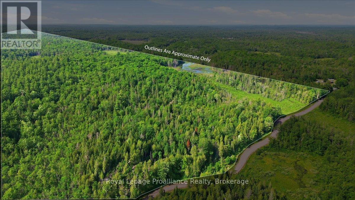 0 O'donnell Road, Addington Highlands, Ontario  K0H 2G0 - Photo 2 - X13520416