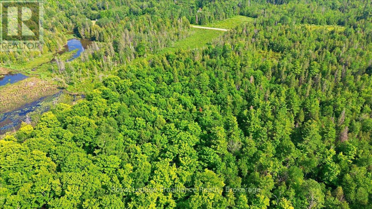 0 O'donnell Road, Addington Highlands, Ontario  K0H 2G0 - Photo 22 - X13520416
