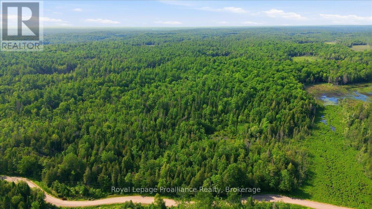 0 O'donnell Road, Addington Highlands, Ontario  K0H 2G0 - Photo 4 - X13520416