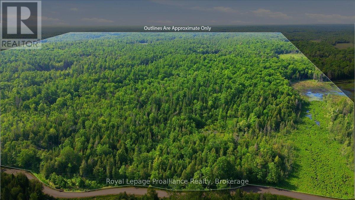 0 O'donnell Road, Addington Highlands, Ontario  K0H 2G0 - Photo 5 - X13520416