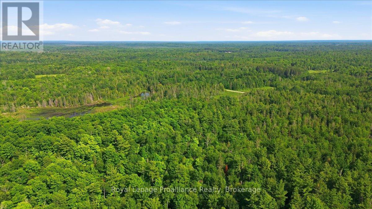 0 O'donnell Road, Addington Highlands, Ontario  K0H 2G0 - Photo 7 - X13520416