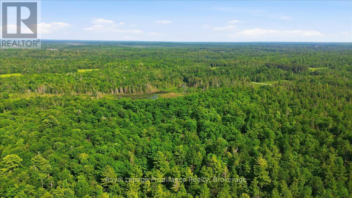 0 O'donnell Road, Addington Highlands, Ontario  K0H 2G0 - Photo 8 - X13520416