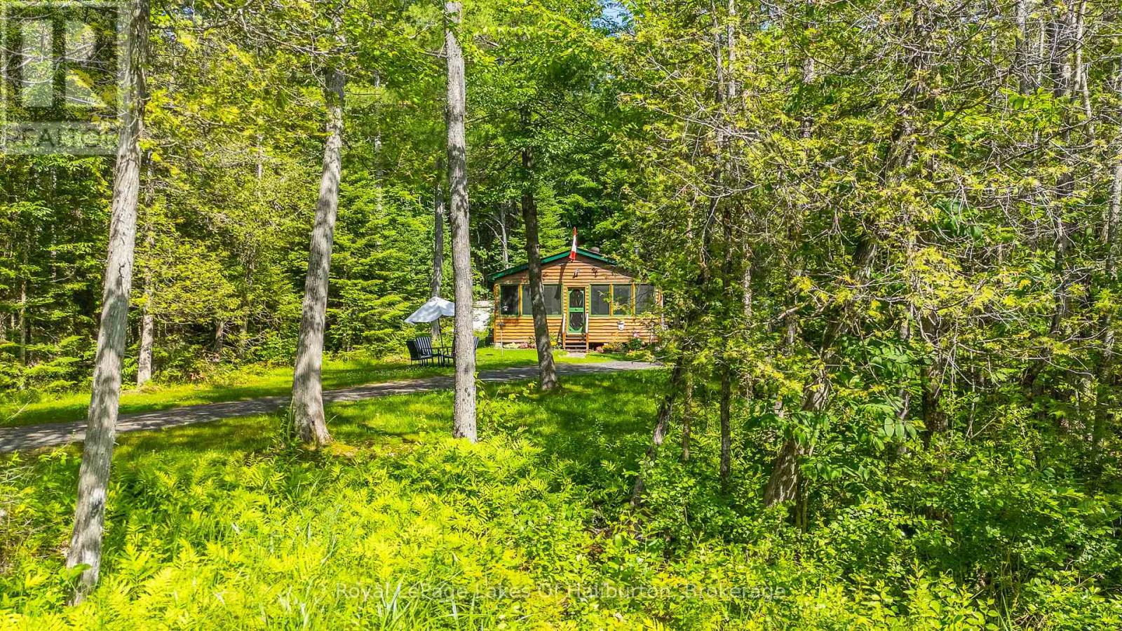1079 Halls Lake Road, Algonquin Highlands, Ontario  K0M 1S0 - Photo 32 - X13520590