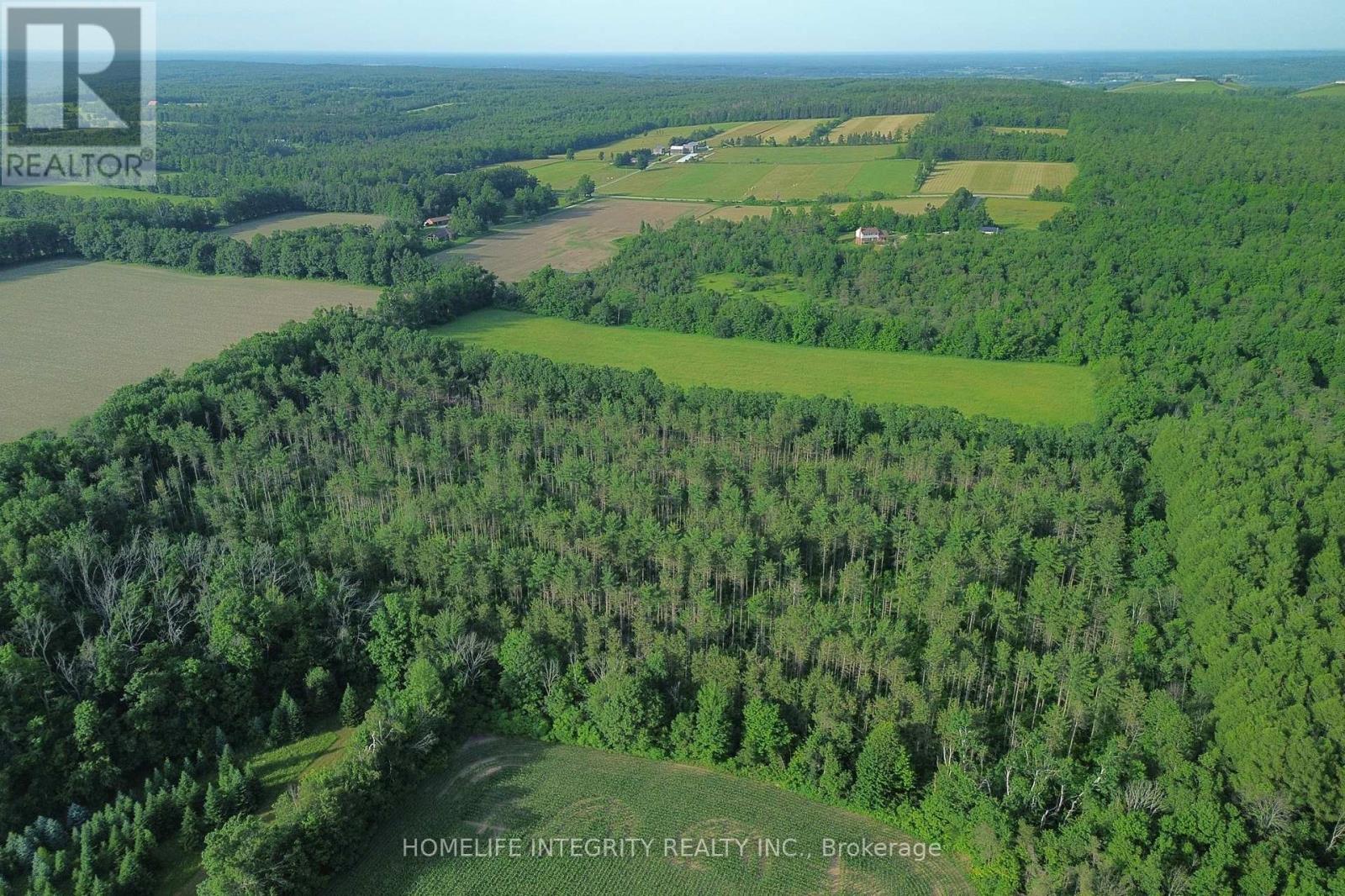 4892 5 Line N, Oro-Medonte, Ontario  L0L 1V0 - Photo 36 - S13520810