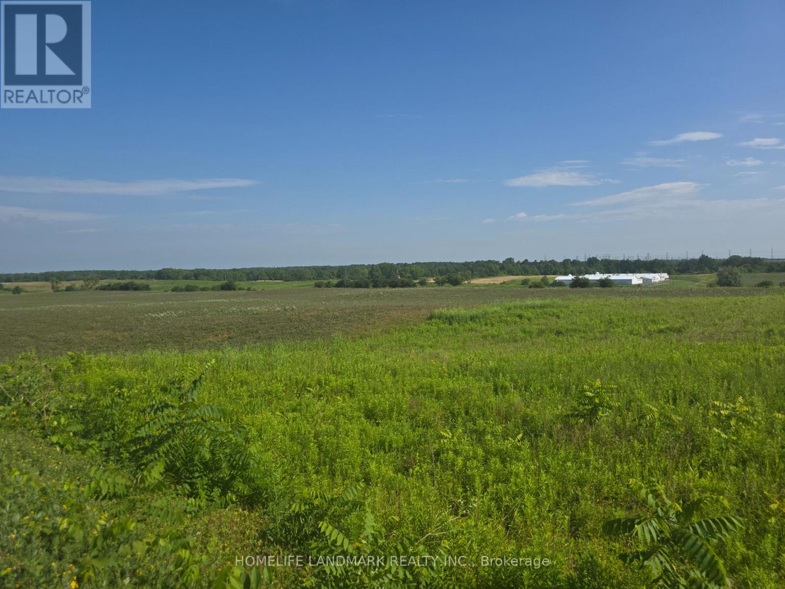 5177 Hwy #6, Haldimand, Ontario N3W 1Z8 - Photo 1 - X13520828