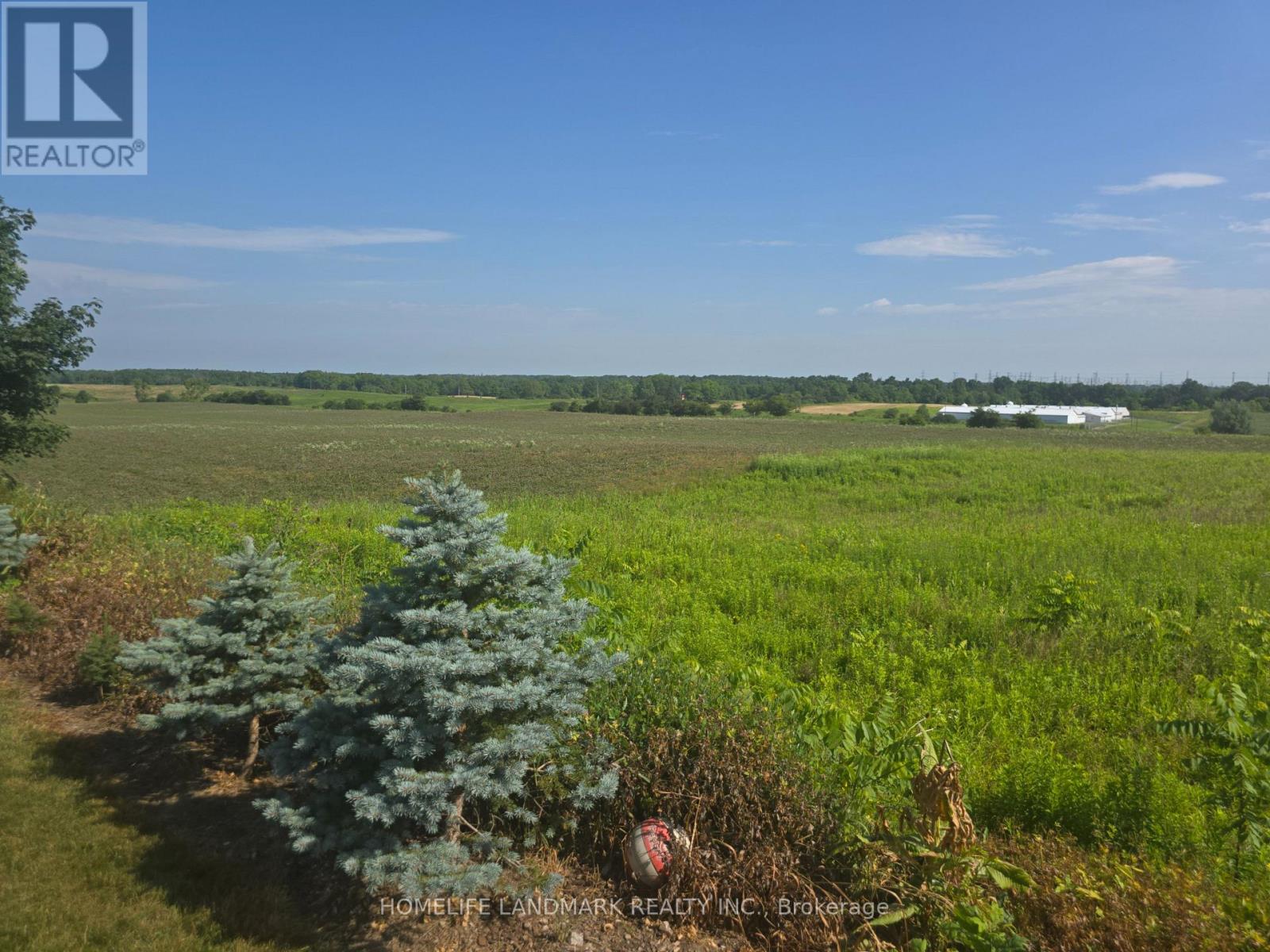 5177 Hwy #6, Haldimand, Ontario N3W 1Z8 - Photo 2 - X13520828