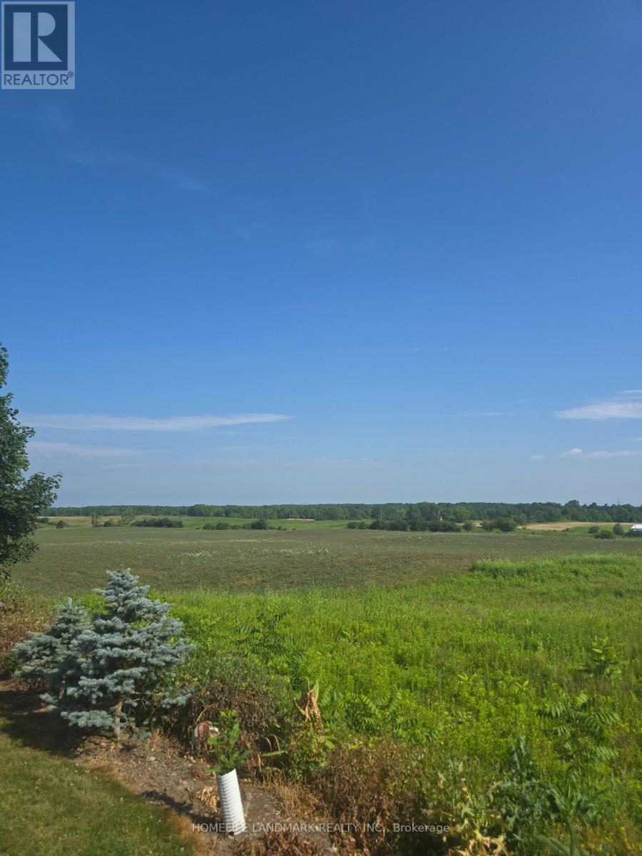 5177 Hwy #6, Haldimand, Ontario N3W 1Z8 - Photo 3 - X13520828