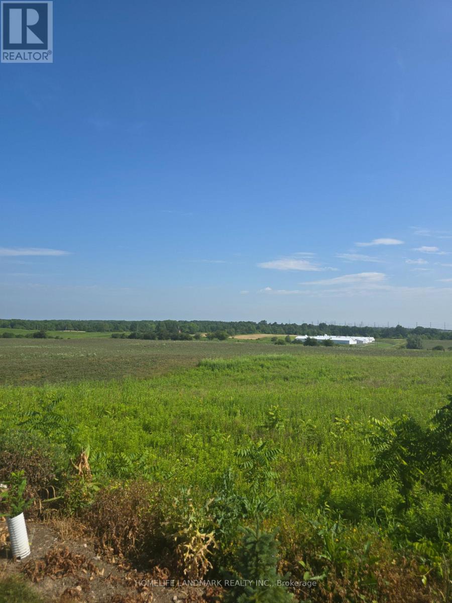 5177 Hwy #6, Haldimand, Ontario N3W 1Z8 - Photo 4 - X13520828