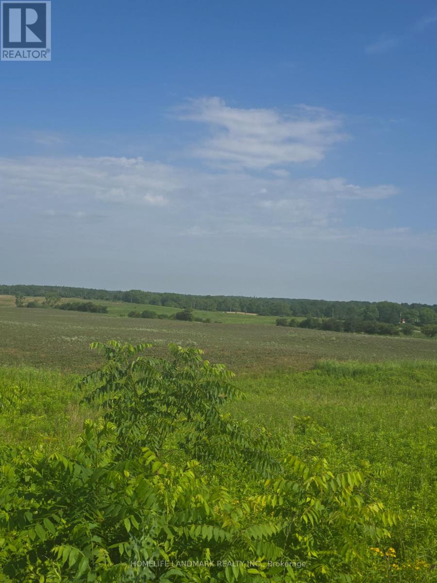 5177 Hwy #6, Haldimand, Ontario N3W 1Z8 - Photo 5 - X13520828