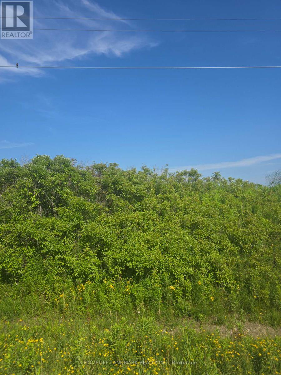 5177 Hwy #6, Haldimand, Ontario N3W 1Z8 - Photo 6 - X13520828