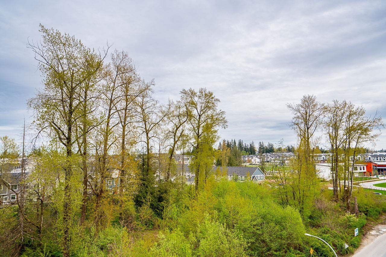 604 8379 201 Street, Langley, British Columbia  V2Y 3S6 - Photo 31 - R3142539