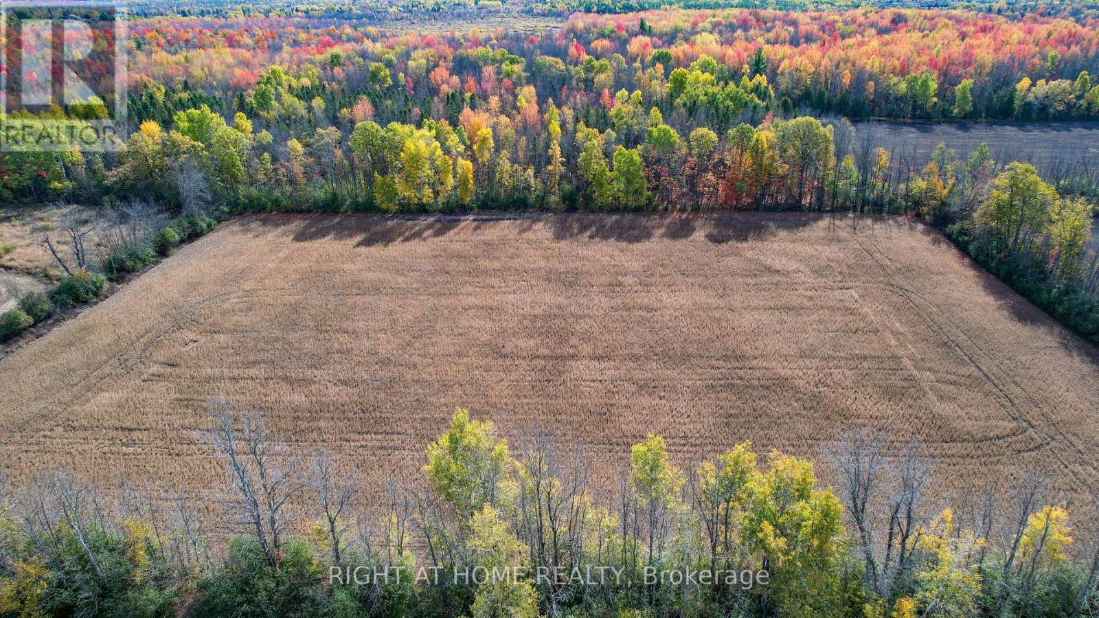 000 Dons Road, South Dundas, Ontario  K0C 1H0 - Photo 6 - X12947104