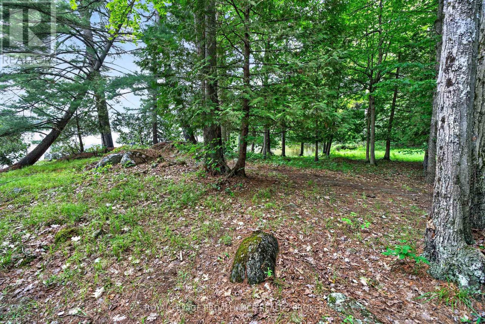3 Scott Island, Rideau Lakes, Ontario K0G 1X0 - Photo 7 - X13521064