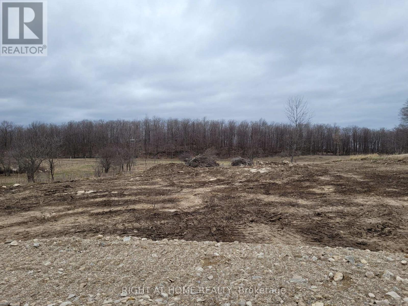 117 Butternut Court, Grey Highlands, Ontario N0C 1H0 - Photo 7 - X13521198