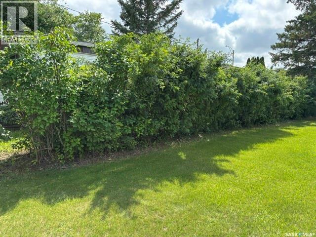 17 Lumsden Street, Manor, Saskatchewan  S0C 1R0 - Photo 16 - SK041460