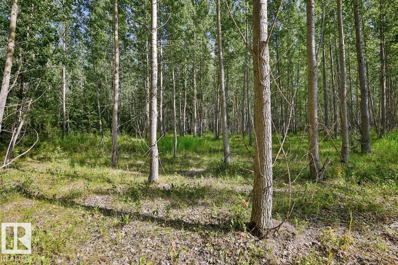 Rge Rd 24 Twp Rd 562, Rural Lac Ste. Anne County, Alberta  T0E 1A0 - Photo 7 - E4497039