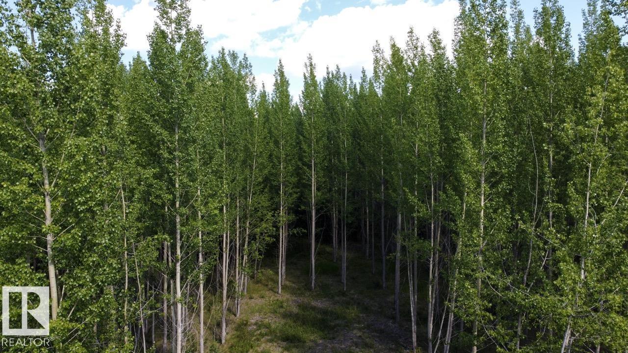Rge Rd 24 Twp Rd 562, Rural Lac Ste. Anne County, Alberta  T0E 1A0 - Photo 10 - E4497039