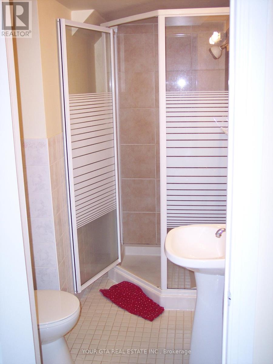Lower - 147 Bonham Blvd Boulevard, Mississauga, Ontario  L5M 1C9 - Photo 8 - W13521520