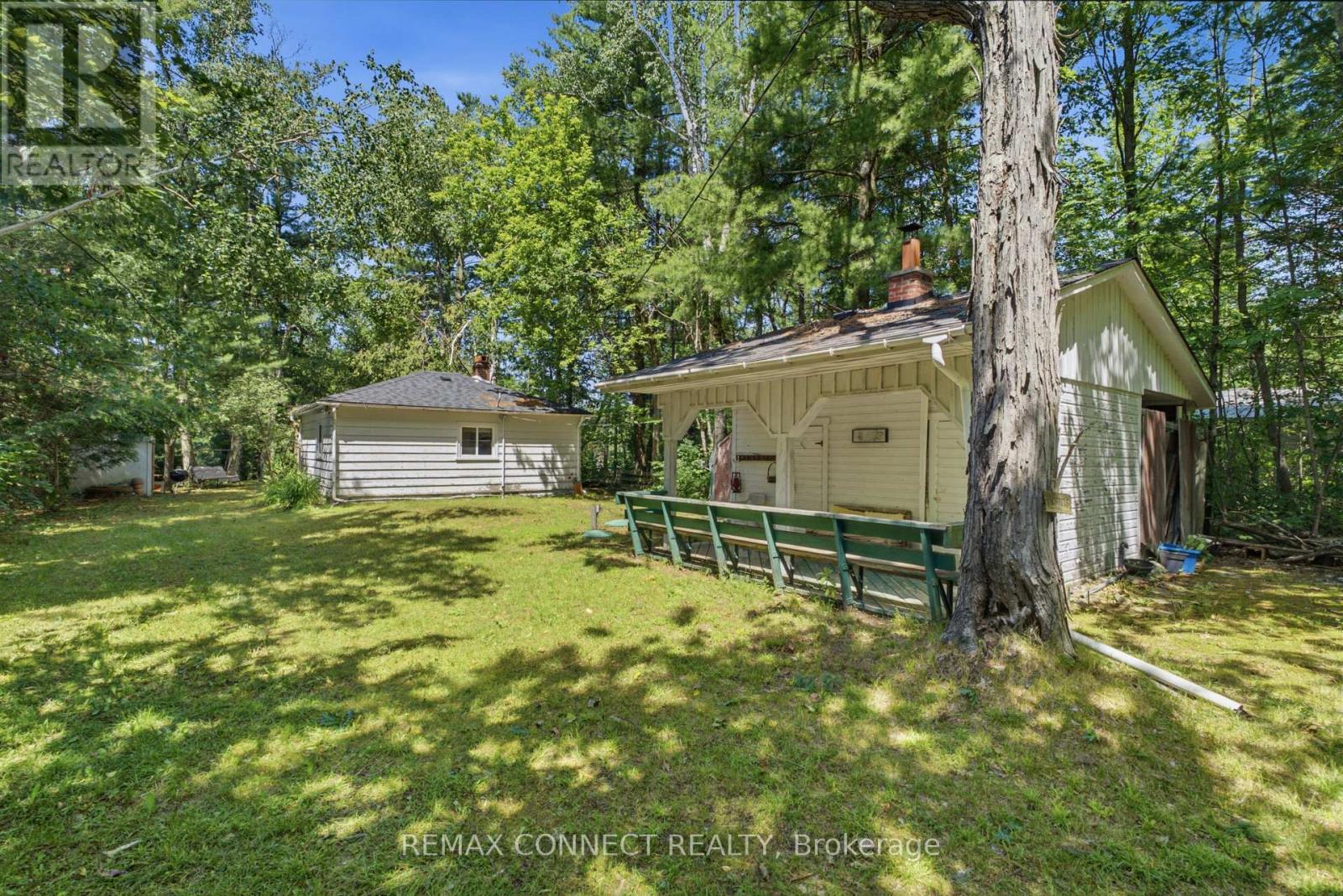 77 Stanley Road, Kawartha Lakes, Ontario  K0M 2T0 - Photo 19 - X13521580