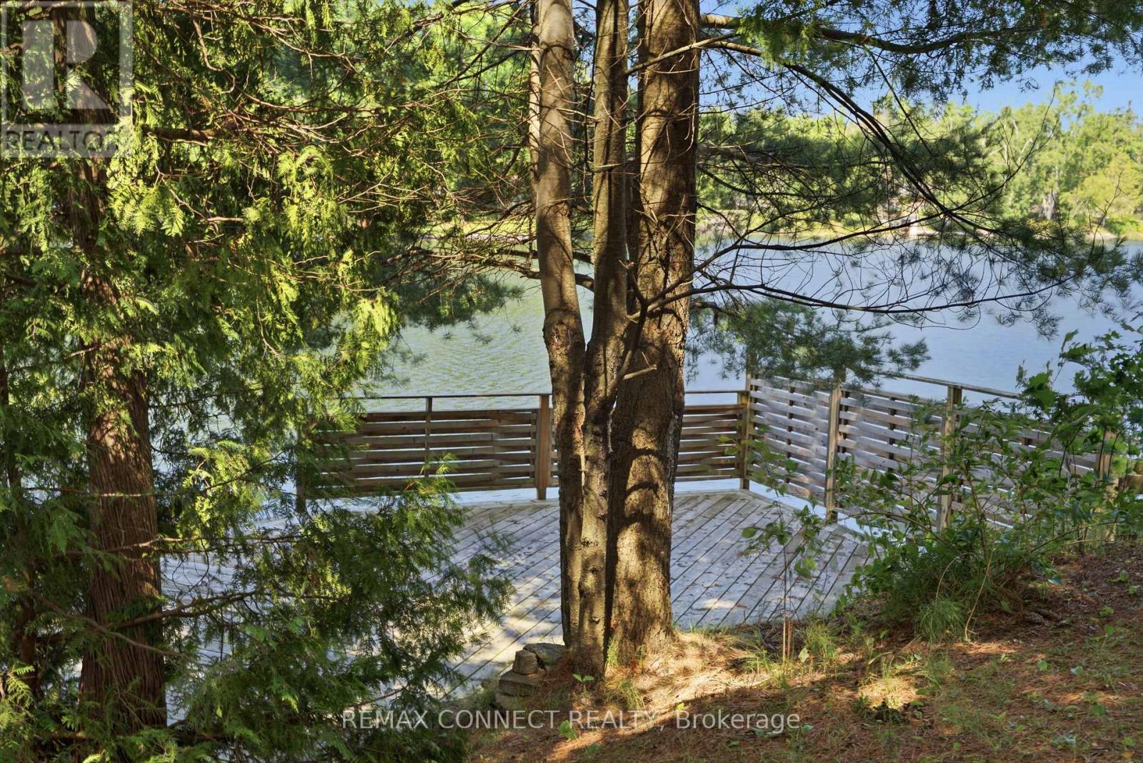 77 Stanley Road, Kawartha Lakes, Ontario  K0M 2T0 - Photo 2 - X13521580