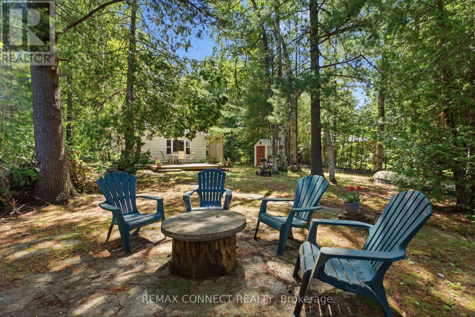 77 Stanley Road, Kawartha Lakes, Ontario  K0M 2T0 - Photo 27 - X13521580