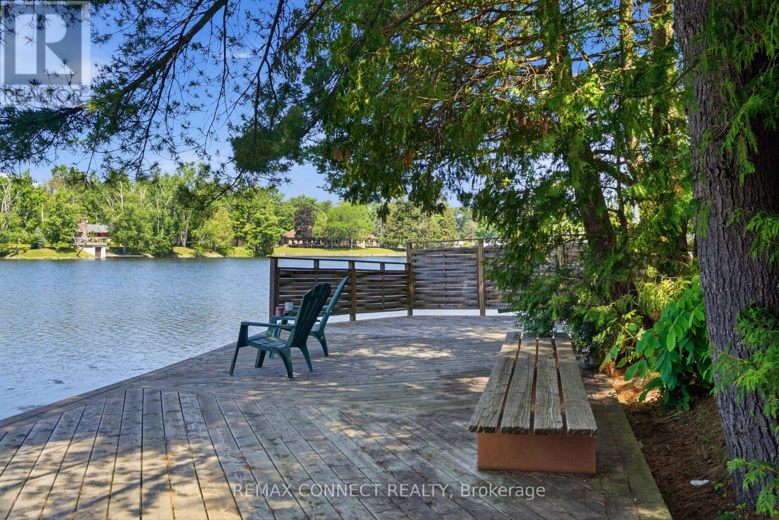 77 Stanley Road, Kawartha Lakes, Ontario  K0M 2T0 - Photo 29 - X13521580