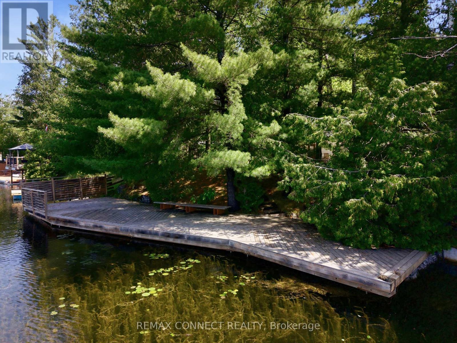 77 Stanley Road, Kawartha Lakes, Ontario  K0M 2T0 - Photo 31 - X13521580