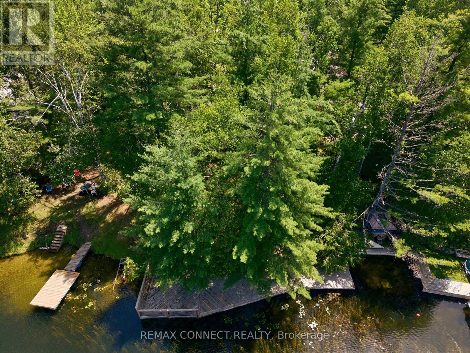 77 Stanley Road, Kawartha Lakes, Ontario  K0M 2T0 - Photo 32 - X13521580