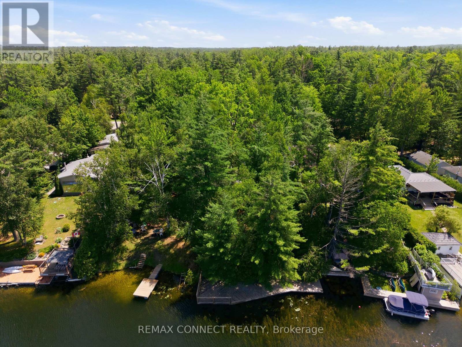 77 Stanley Road, Kawartha Lakes, Ontario  K0M 2T0 - Photo 33 - X13521580
