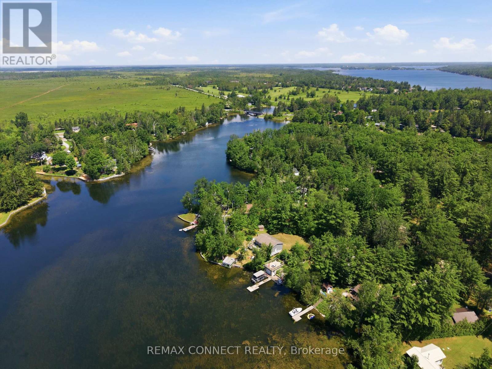 77 Stanley Road, Kawartha Lakes, Ontario  K0M 2T0 - Photo 34 - X13521580