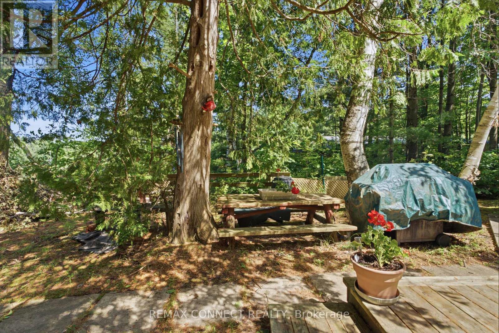 77 Stanley Road, Kawartha Lakes, Ontario  K0M 2T0 - Photo 36 - X13521580