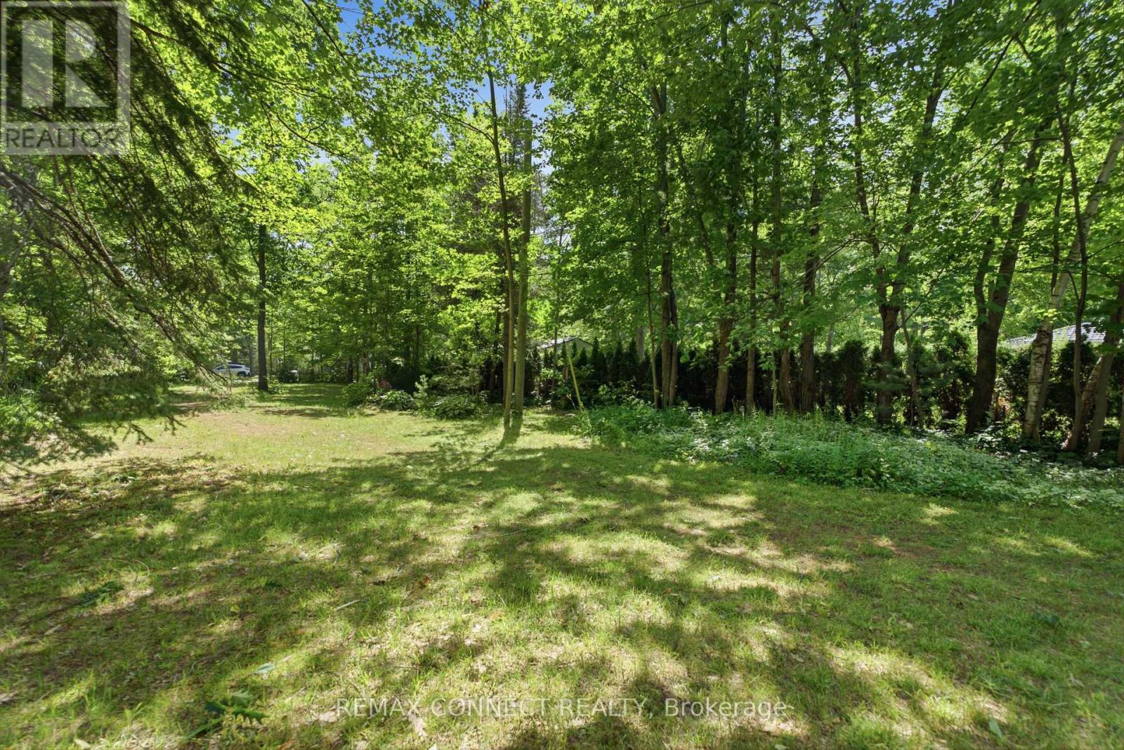 77 Stanley Road, Kawartha Lakes, Ontario  K0M 2T0 - Photo 37 - X13521580
