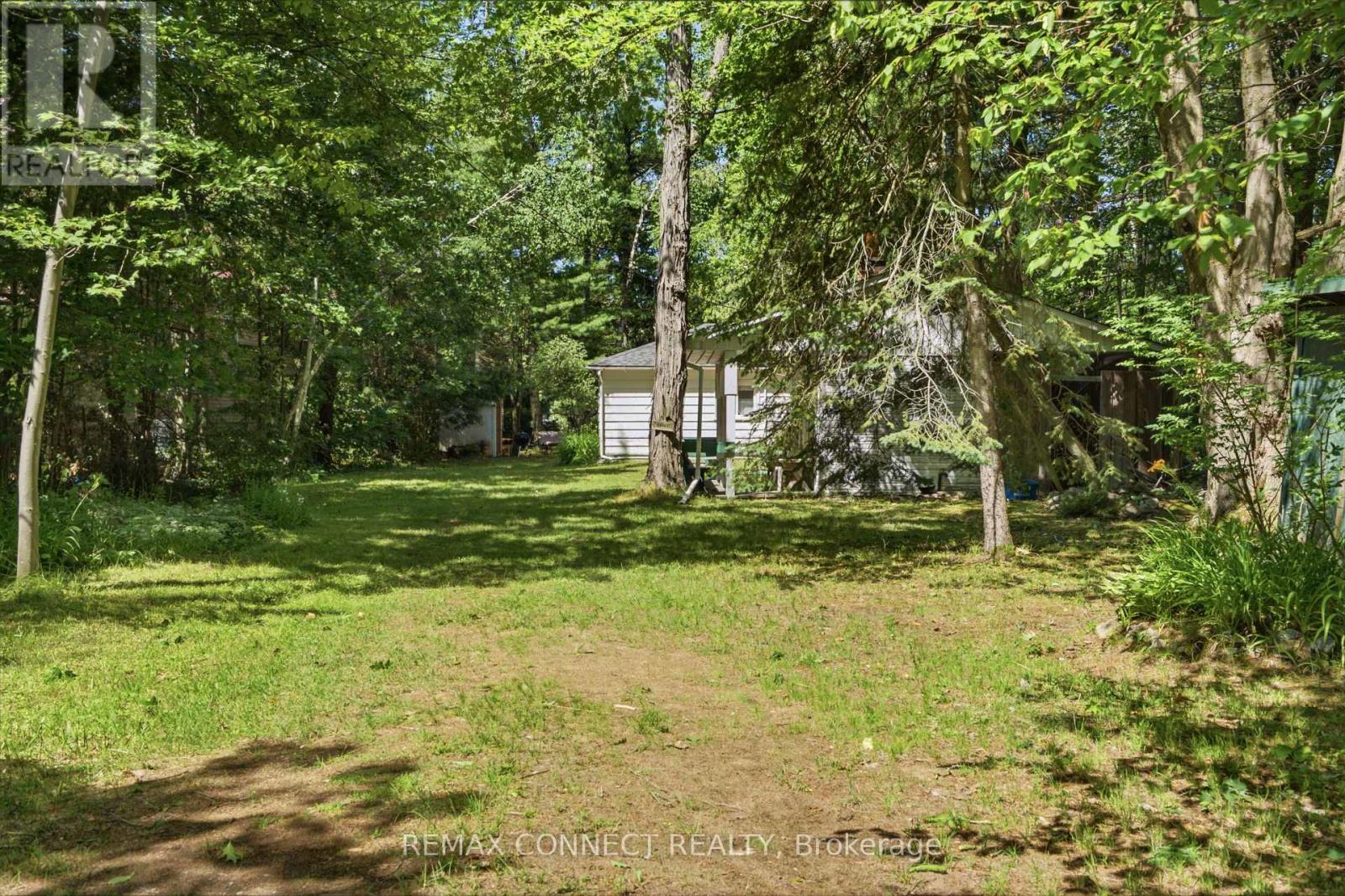 77 Stanley Road, Kawartha Lakes, Ontario  K0M 2T0 - Photo 39 - X13521580
