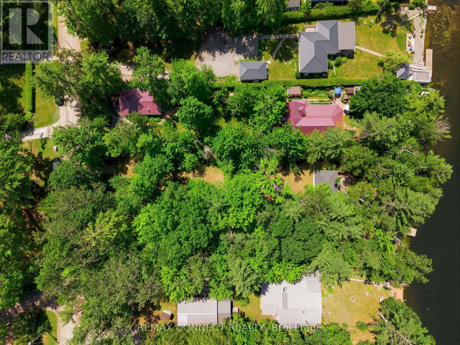 77 Stanley Road, Kawartha Lakes, Ontario  K0M 2T0 - Photo 4 - X13521580