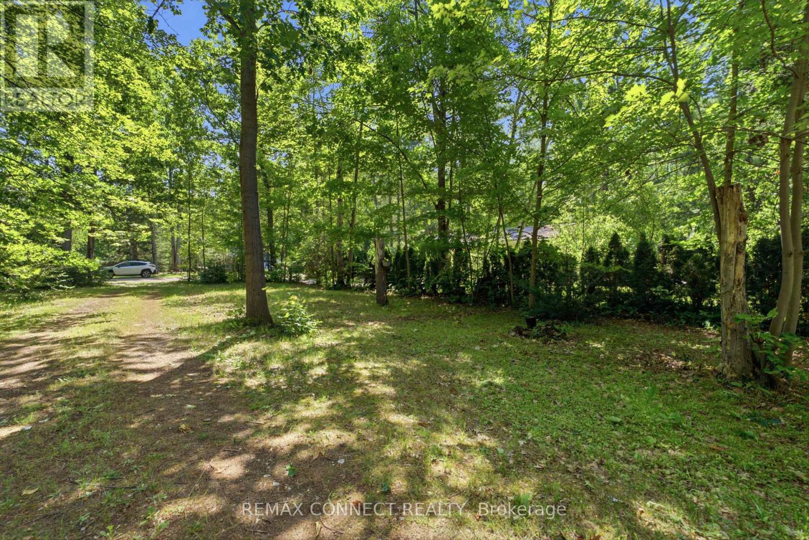 77 Stanley Road, Kawartha Lakes, Ontario  K0M 2T0 - Photo 40 - X13521580