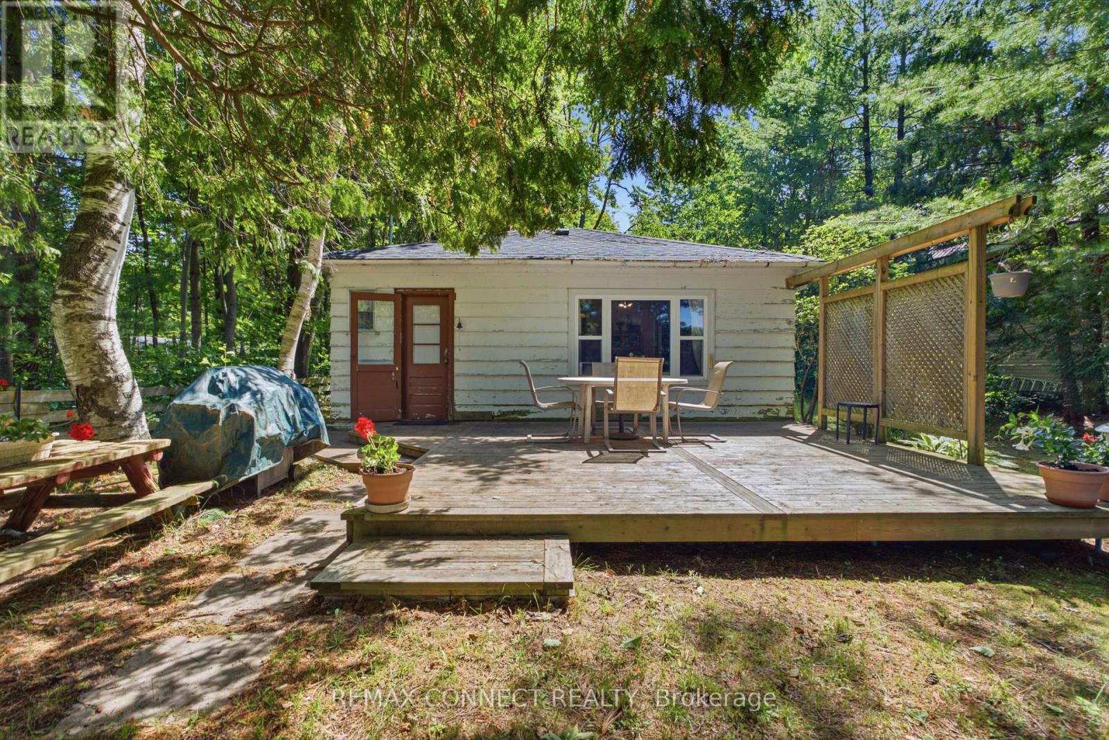 77 Stanley Road, Kawartha Lakes, Ontario  K0M 2T0 - Photo 5 - X13521580