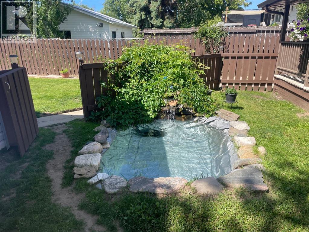 picture 23