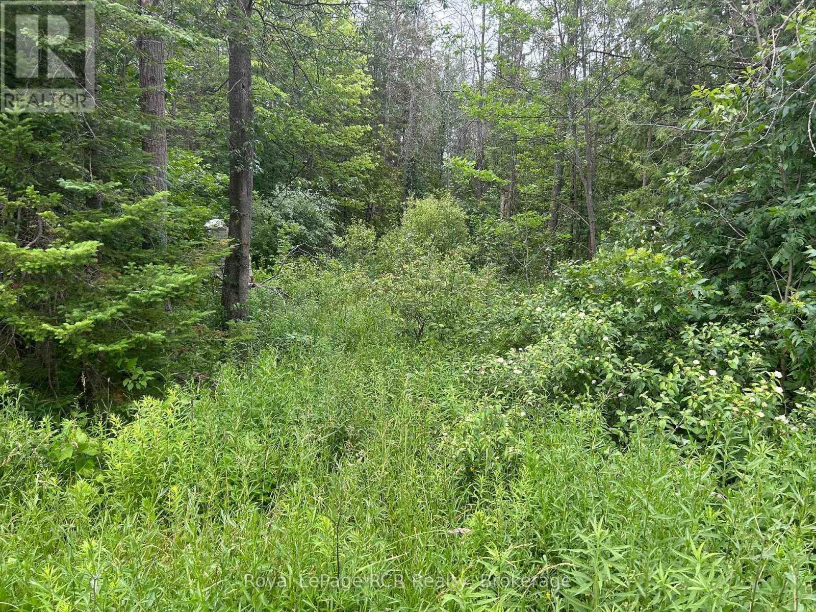 Part Lot 2 Conc 17 Road, Georgian Bluffs, Ontario  N0H 2T0 - Photo 3 - X13521894