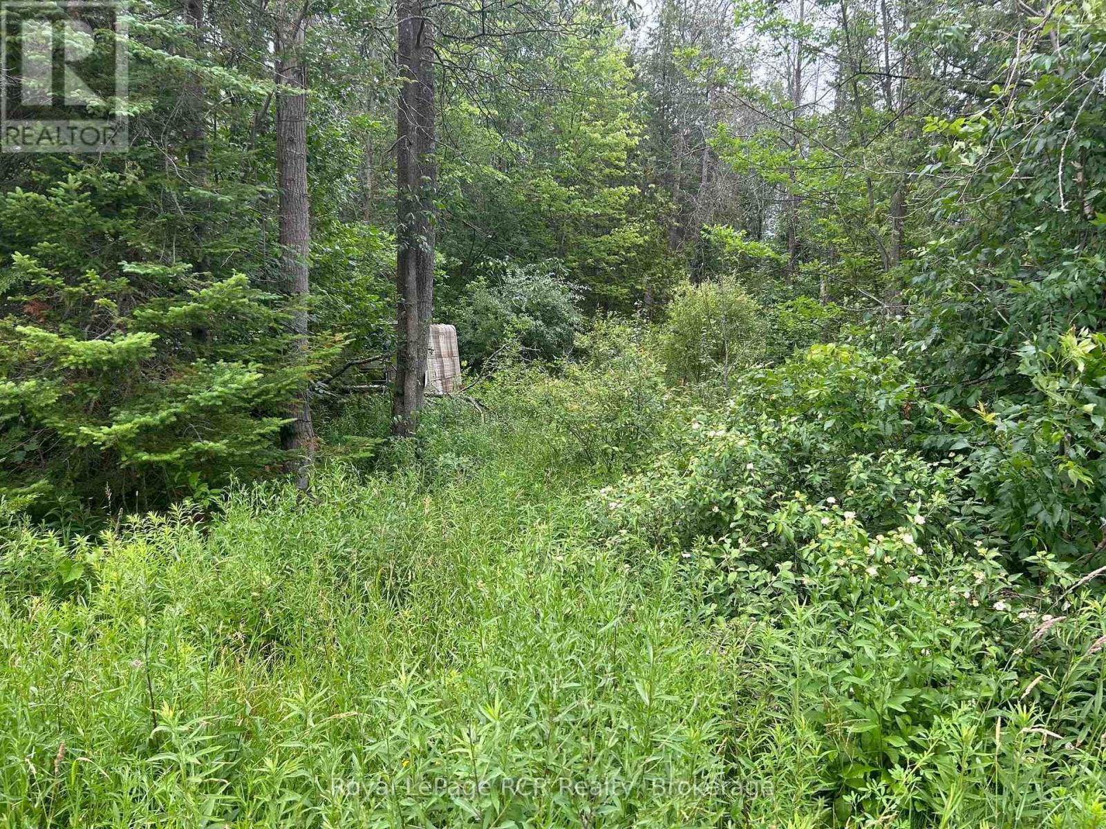 Part Lot 2 Conc 17 Road, Georgian Bluffs, Ontario  N0H 2T0 - Photo 4 - X13521894