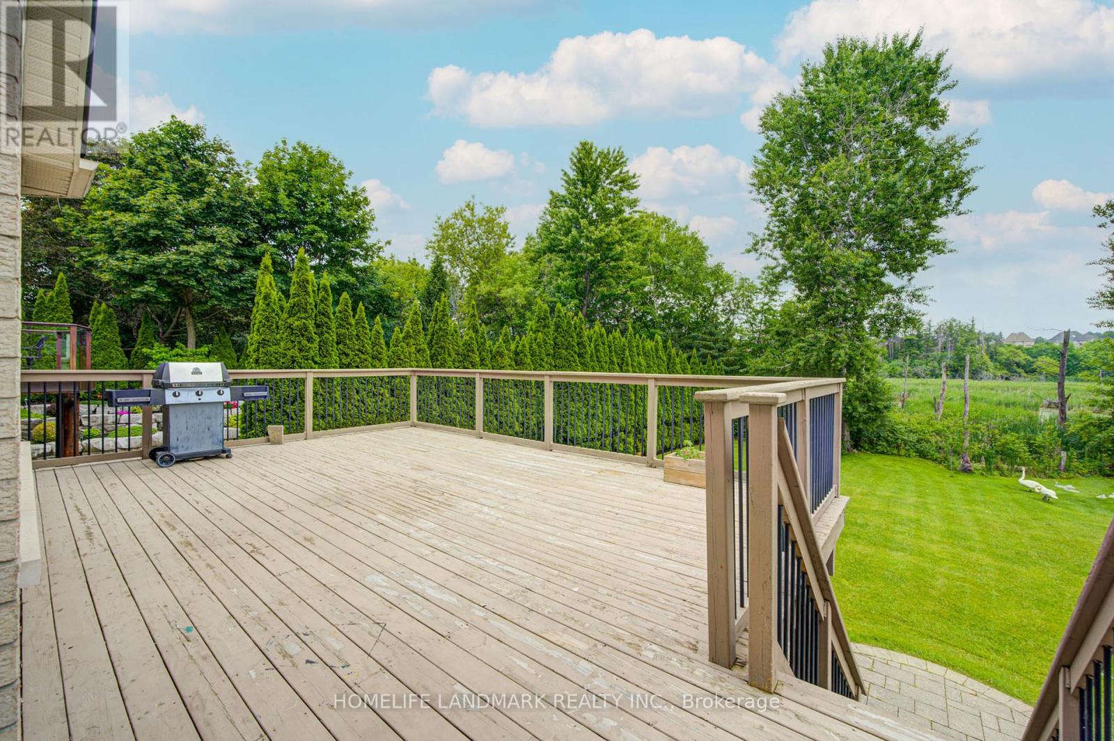 86 Snively Street, Richmond Hill, Ontario  L4E 3E9 - Photo 3 - N13506136