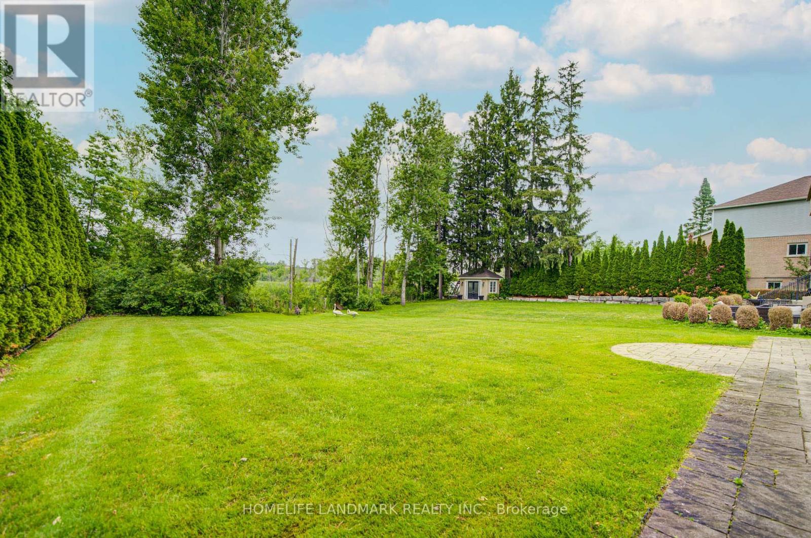 86 Snively Street, Richmond Hill, Ontario  L4E 3E9 - Photo 4 - N13506136