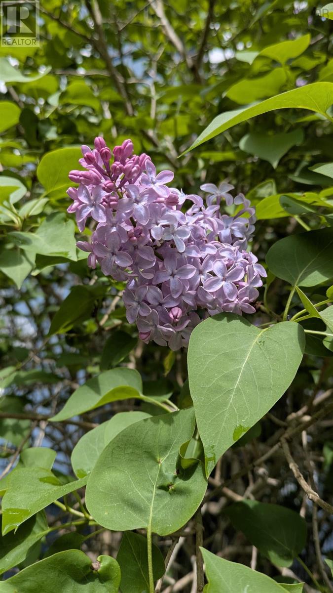 picture 39