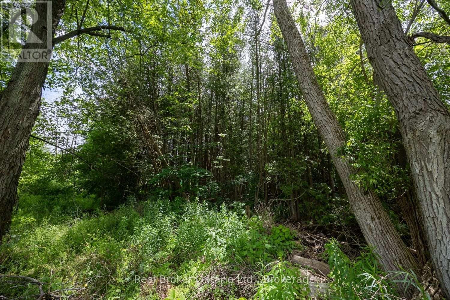 2532 Holt Road, Clarington, Ontario  L1C 6G6 - Photo 48 - E13490512