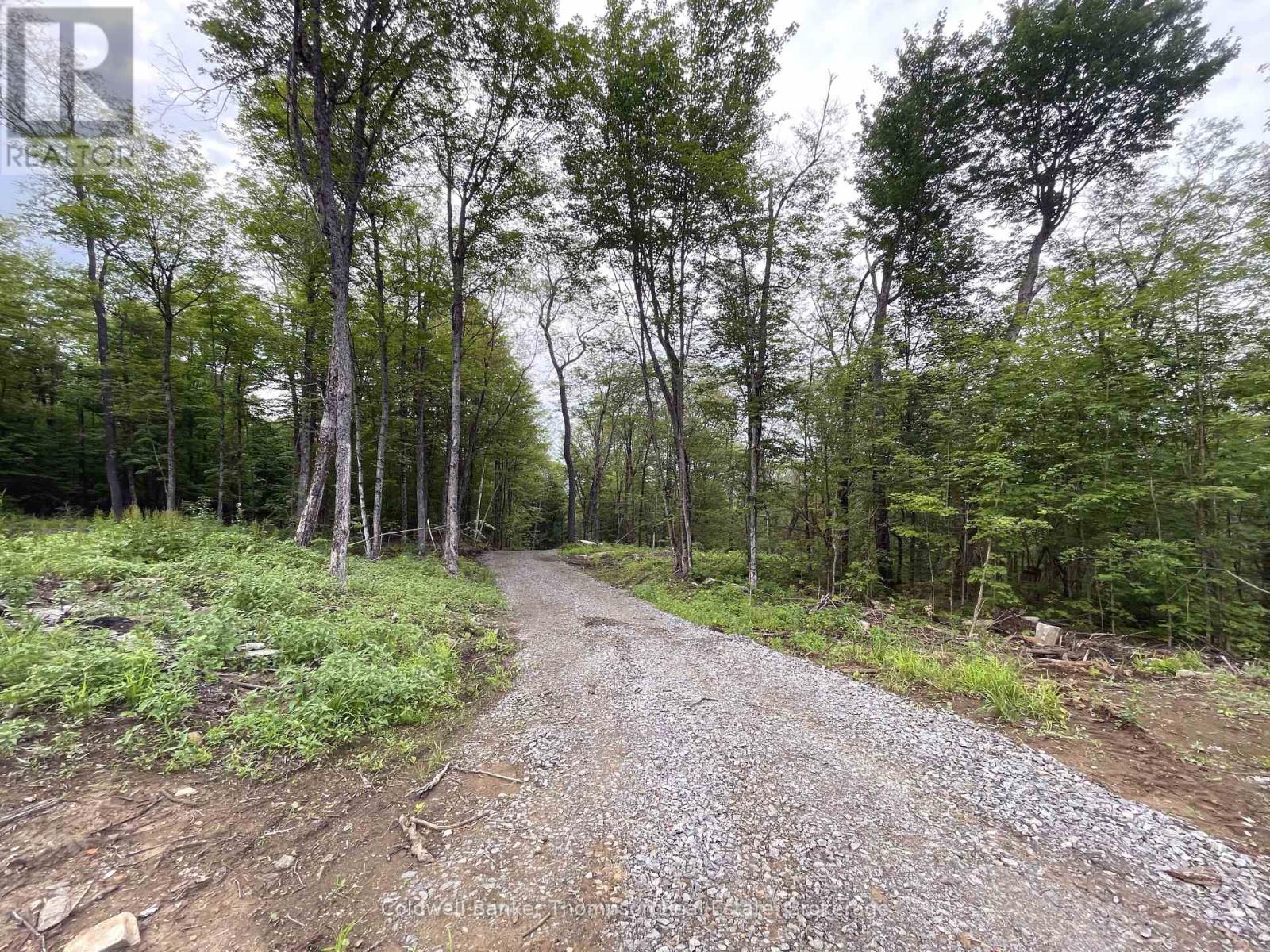 Lt16con2 River Road, Parry Sound Remote Area, Ontario P0A 1X0 - Photo 44 - X13522186