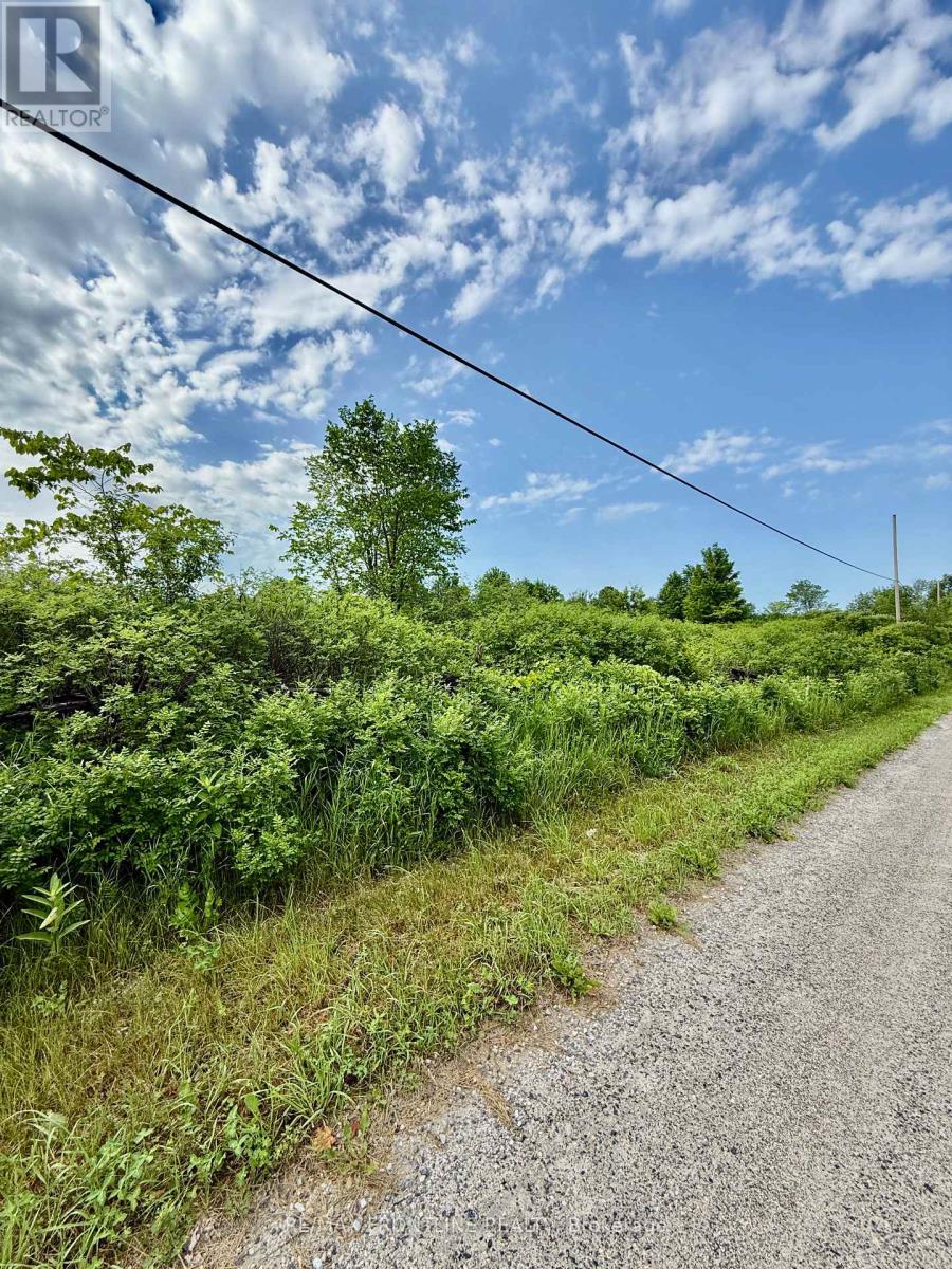 769 Ennis Road, Tay Valley, Ontario  K0H 2B0 - Photo 5 - X13522446