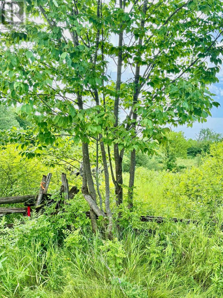 769 Ennis Road, Tay Valley, Ontario  K0H 2B0 - Photo 9 - X13522446