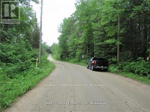 Pt Lt 49 Old Moore Lake Road, Laurentian Hills, Ontario  K0J 2H0 - Photo 3 - X13522498