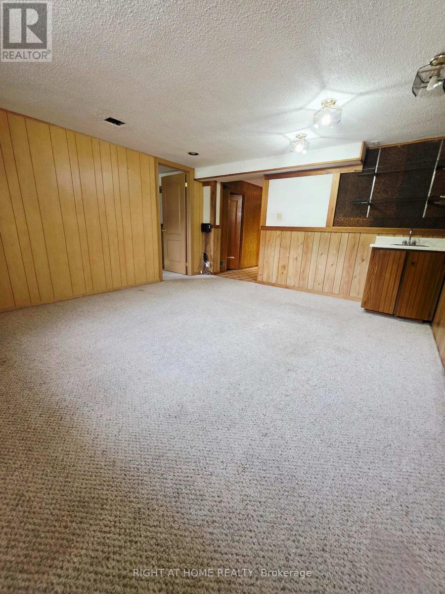 Lower - 252 Maple Leaf Drive, Toronto, Ontario  M6L 1P1 - Photo 10 - W13522516